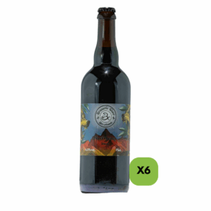 Noct’Honey (carton de 6)  – Bière brune au Miel - 75cl (6,5%vol.)